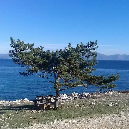La Gioia Drenje Holiday home *